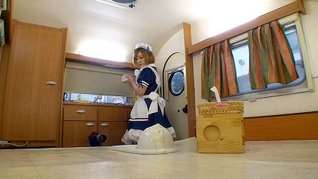 プレミアメイドうんち メイド喫茶じゃ見れない 清楚な5人の初脱糞映像！！！