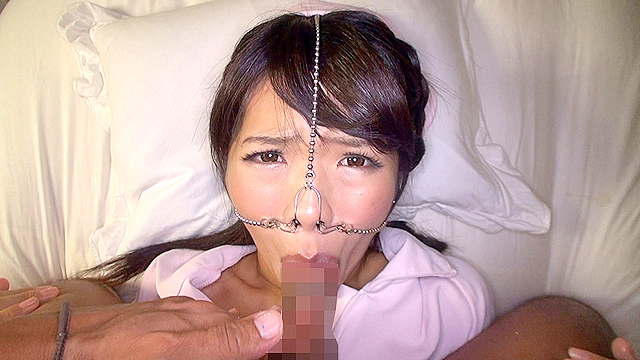 豚鼻ベストセレクション