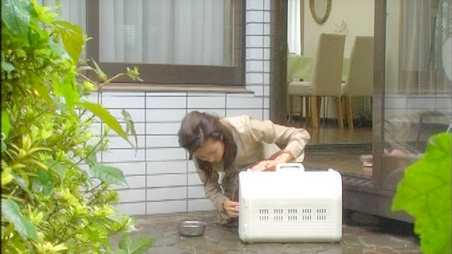 猫の家族