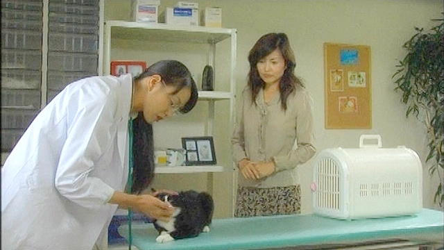 猫の家族