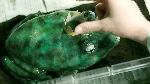 ミカヨのクレヨン