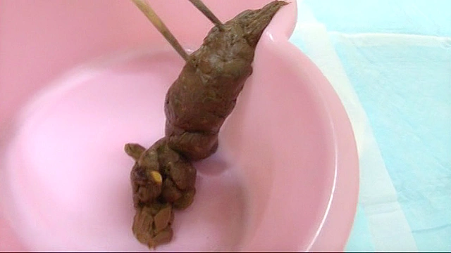 うんこパラダイス10