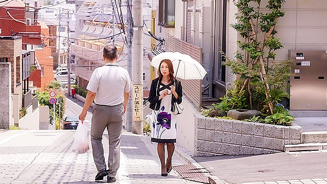 20年ぶりに再会した元カレと狂ったようにハメまくった三日間 佐田茉莉子