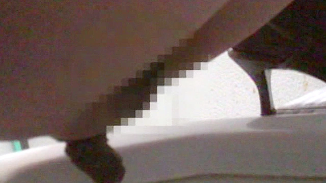 大便排泄視感2