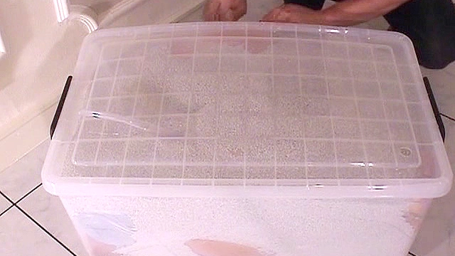 箱の中