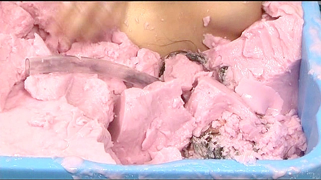 Alginate001