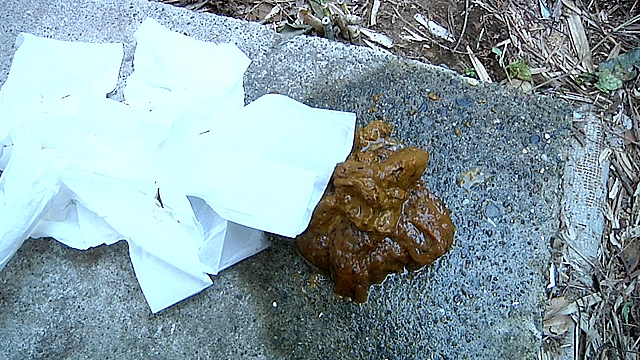 脱糞○撮02 海の家の裏で我慢しきれず脱糞 3名