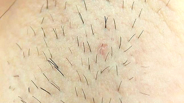 100人のわき 第5集
