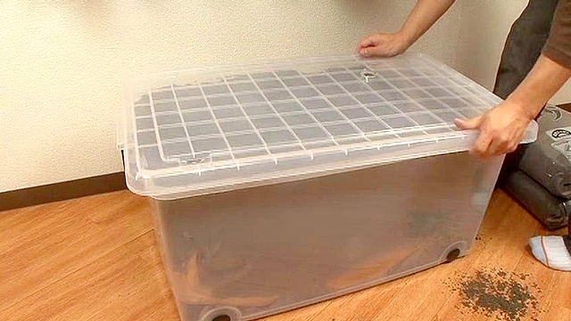 砂の中