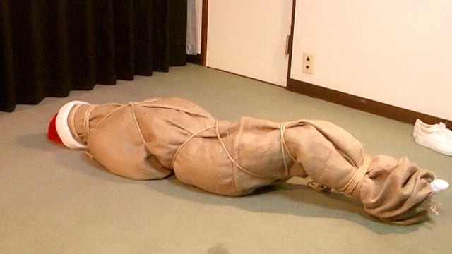 袋の中のサンタガール