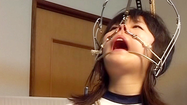 THE NOSE COLLECTION-2 ～ロ○鼻盛り耽美会～