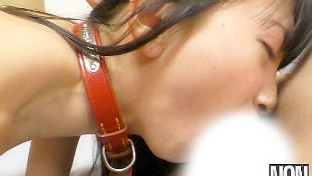 近所で可愛いと有名な子を飼ってます。
