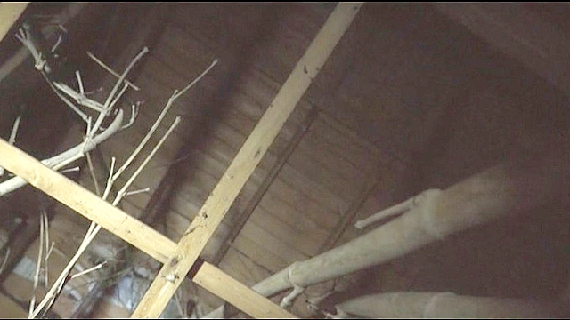 遊び半分で行ってはいけない心霊スポット ～静岡編～