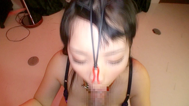 豚鼻フェラ