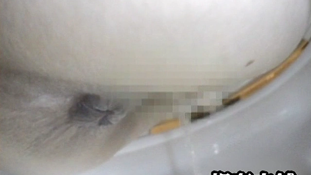 トイレが流れない！女たちはその時どうするのか徹底検証 パンティを下げたままうろたえ、テンパる姿は見物、女たちの困った表情がたまらん！