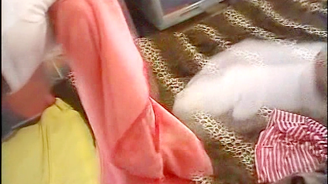 下着泥棒～被○件数5件～2