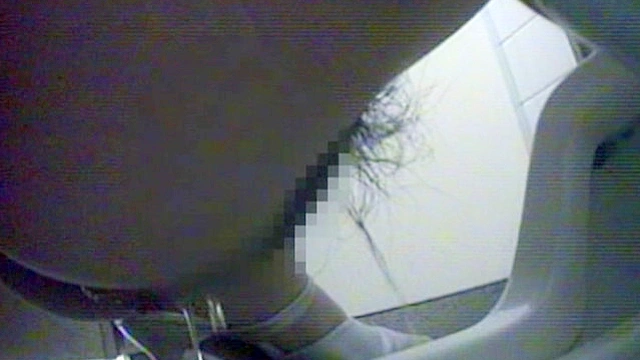 大便排泄視感1