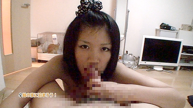 大好きな妹の家に泊まりに行こう2 出来れば近●相姦
