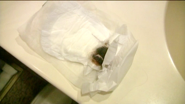 コンビニのトイレで集めたナプキン