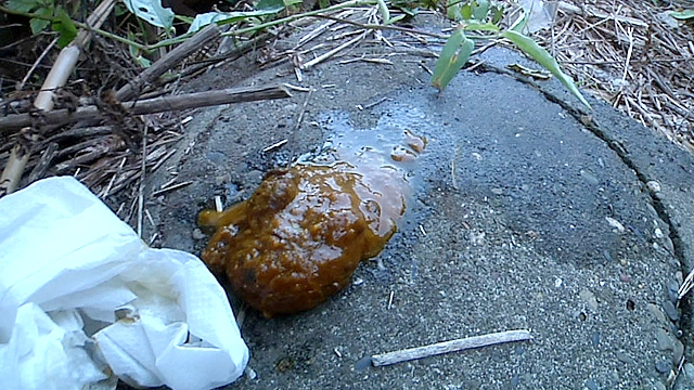 脱糞○撮01 海の家の裏で我慢しきれず脱糞 3名