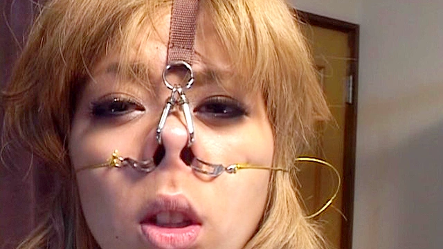 THE NOSE COLLECTION-3 ～ギャル鼻盛り耽美会～