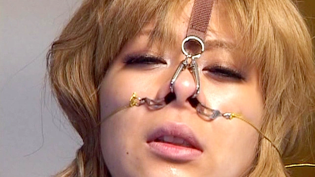 THE NOSE COLLECTION-3 ～ギャル鼻盛り耽美会～