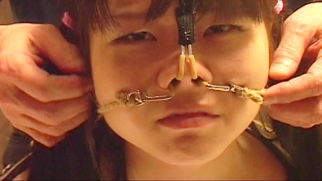 THE NOSE COLLECTION-11 ～ロ○ータ鼻盛り耽美会～