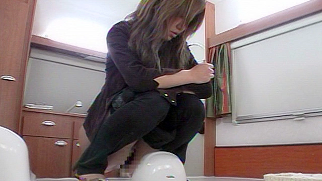 素人ナンパトイレ号がゆく ザ・ベスト 美人列伝！