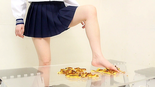 大量のどら焼きを楽しそうに踏む受験生のお嬢様