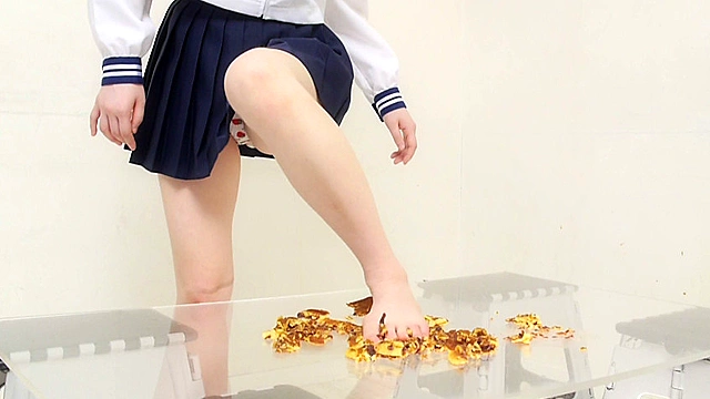 大量のどら焼きを楽しそうに踏む受験生のお嬢様