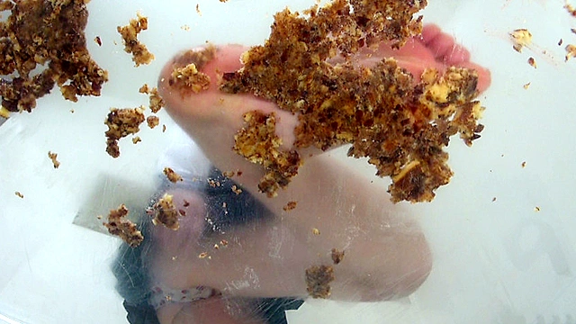 大量のどら焼きを楽しそうに踏む受験生のお嬢様