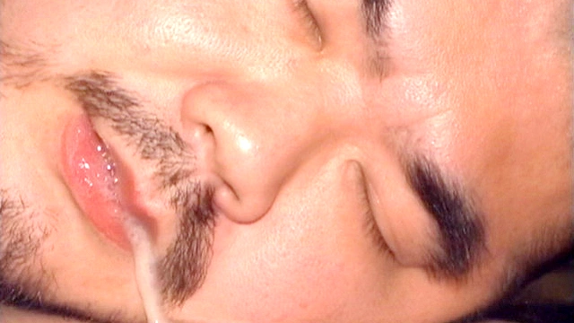 大田次長と子狸