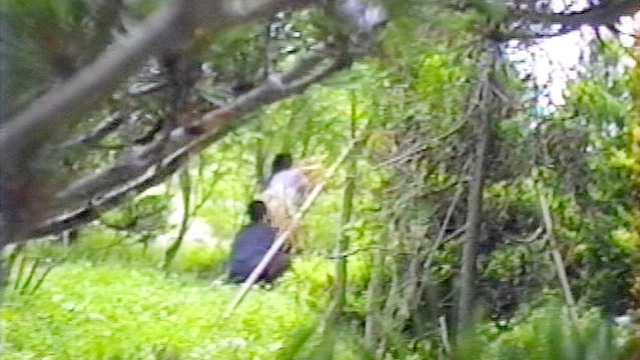 ○撮投稿プレミアムクラブ