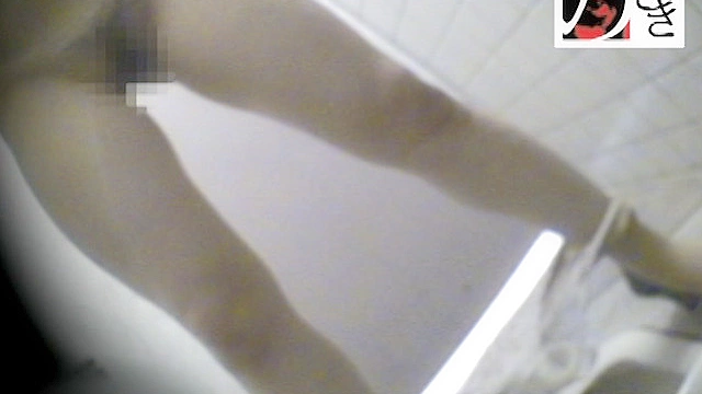トイレ○撮 巧妙に仕掛けられた超小型カメラがオシッコと共に放つ女の声や吐息までを30名収録