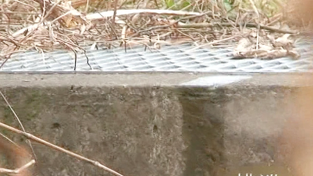 もう我慢できない！青空排泄○撮！