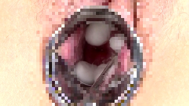 まんこ大研究 3