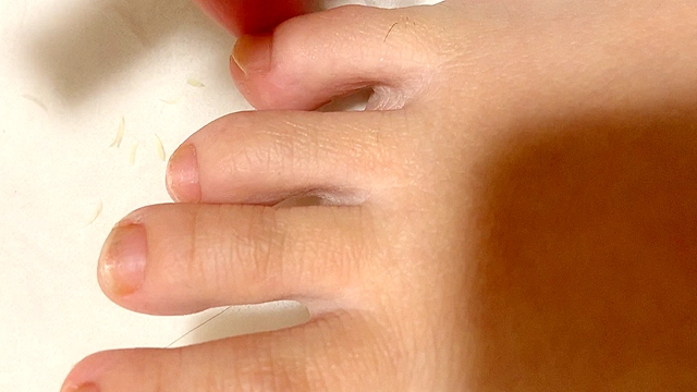 普通の女の子の足の爪切り－スマホ自撮り◎あんな（26歳）OL◎