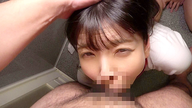 オトナの体育の時間 ブルマ娘11名