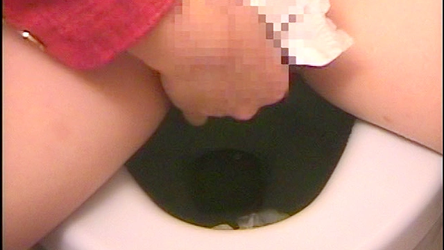 女子穴。～ローカル女子アナ、女子社員放尿隠し撮り～
