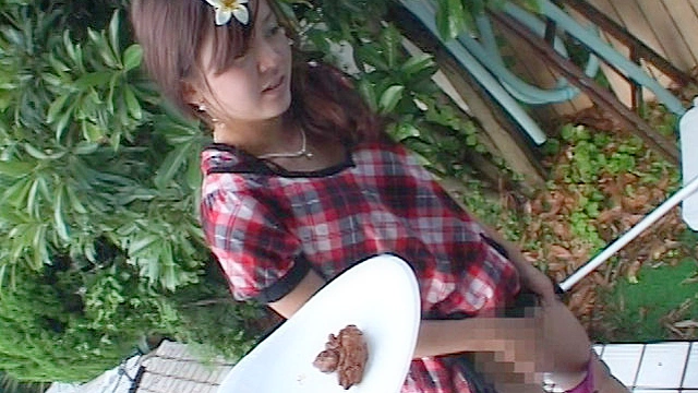 素人ナンパトイレ号がゆく 外伝 TOKYOガールズ野グソ4 ウンチしちゃったよ…外でお尻を捲くるだけでやばいのに