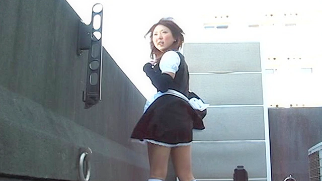 メイド萌え萌えオムニバス 総集編 Vol.2