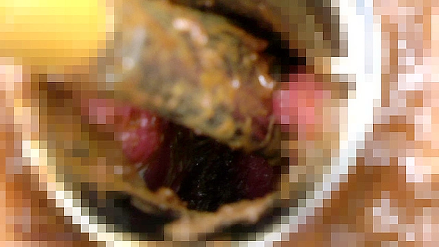 脱糞子宮口うんこ塗りつけ