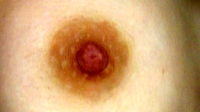 100人の乳首 第6集