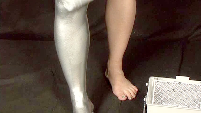 SILVER PAINTING005
