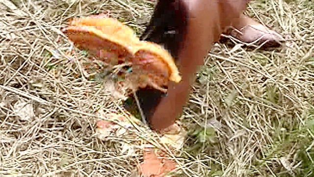 食べ物踏み潰しSP