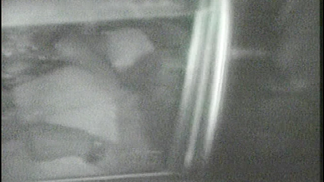 秘境 カーセックス編2