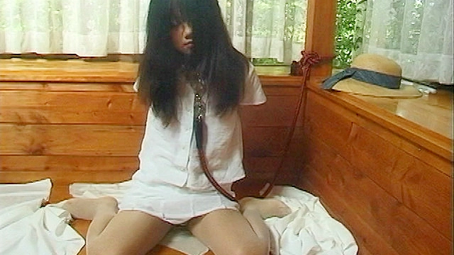 汚穢少女飼育日誌