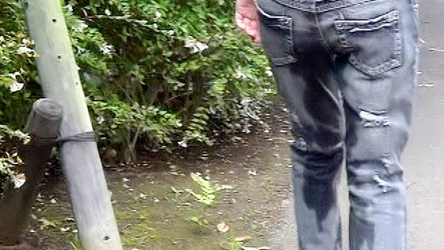 Panty Pissing －おもらし遊びに魅せられた少女たち－
