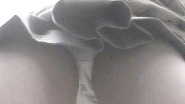 密着パンチラ図鑑