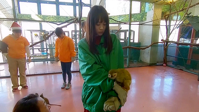 浜田翔子と行くぶらり湯けむり温泉旅